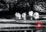 Immagine di Tela di spogliare la camera Walla Walla Washington USA, 1934, secondo 3 filmato di repertorio 65675029859