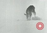 Standbild Haylift Betrieb Western United states USA, 1948, aus Sekunde 10 historischem Filmmaterial Videoclip 65675029883