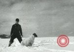 Standbild Haylift Betrieb Western United states USA, 1948, aus Sekunde 49 historischem Filmmaterial Videoclip 65675029883
