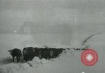 Standbild Haylift Betrieb Western United states USA, 1948, aus Sekunde 57 historischem Filmmaterial Videoclip 65675029883