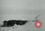 Standbild Haylift Betrieb Western United states USA, 1948, aus Sekunde 58 historischem Filmmaterial Videoclip 65675029883