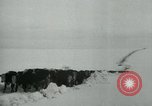 Standbild Haylift Betrieb Western United states USA, 1948, aus Sekunde 59 historischem Filmmaterial Videoclip 65675029883