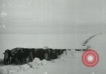 Standbild Haylift Betrieb Western United states USA, 1948, aus Sekunde 60 historischem Filmmaterial Videoclip 65675029883