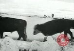 Standbild Haylift Betrieb Western United states USA, 1948, aus Sekunde 61 historischem Filmmaterial Videoclip 65675029883