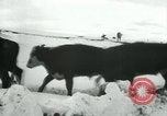Standbild Haylift Betrieb Western United states USA, 1948, aus Sekunde 62 historischem Filmmaterial Videoclip 65675029883