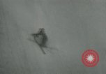 Standbild Wasser Skispringen Florida United States USA, 1948, aus Sekunde 25 historischem Filmmaterial Videoclip 65675029888