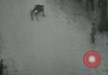 Standbild Wasser Skispringen Florida United States USA, 1948, aus Sekunde 36 historischem Filmmaterial Videoclip 65675029888