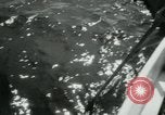 Immagine di Incidente aereo Oceano atlantico, 1956, secondo 31 filmato di repertorio 65675029890