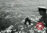 Immagine di Incidente aereo Oceano atlantico, 1956, secondo 33 filmato di repertorio 65675029890