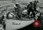 Immagine di Incidente aereo Oceano atlantico, 1956, secondo 52 filmato di repertorio 65675029890