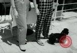 Standbild Designerkleidung Long Island New York USA, 1956, aus Sekunde 45 historischem Filmmaterial Videoclip 65675029893