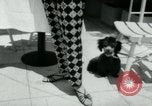 Standbild Designerkleidung Long Island New York USA, 1956, aus Sekunde 48 historischem Filmmaterial Videoclip 65675029893