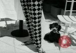 Standbild Designerkleidung Long Island New York USA, 1956, aus Sekunde 49 historischem Filmmaterial Videoclip 65675029893