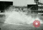 Standbild amerikanische Taucher Palm Springs California USA, 1956, aus Sekunde 53 historischem Filmmaterial Videoclip 65675029894