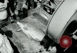 Image of carp fishing contest Michigan United States USA, 1956, second 26 stock footage video 65675029895