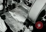 Image of carp fishing contest Michigan United States USA, 1956, second 27 stock footage video 65675029895