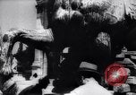 Image of horse statue Rome Italy, 1937, second 42 stock footage video 65675029900