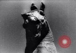 Image of horse statue Rome Italy, 1937, second 48 stock footage video 65675029900