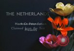 Image of Dutch people and lifestyle in Netherlands Netherlands, 1940, second 7 stock footage video 65675029902