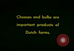 Image of cheese and tulip bulbs Netherlands, 1940, second 1 stock footage video 65675029904