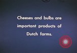 Image of cheese and tulip bulbs Netherlands, 1940, second 3 stock footage video 65675029904