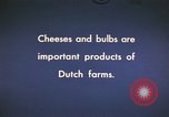 Image of cheese and tulip bulbs Netherlands, 1940, second 4 stock footage video 65675029904