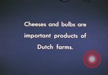 Image of cheese and tulip bulbs Netherlands, 1940, second 5 stock footage video 65675029904