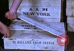 Image of cheese and tulip bulbs Netherlands, 1940, second 6 stock footage video 65675029904