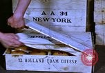 Image of cheese and tulip bulbs Netherlands, 1940, second 7 stock footage video 65675029904