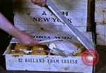 Image of cheese and tulip bulbs Netherlands, 1940, second 9 stock footage video 65675029904