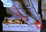Image of cheese and tulip bulbs Netherlands, 1940, second 10 stock footage video 65675029904