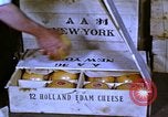 Image of cheese and tulip bulbs Netherlands, 1940, second 12 stock footage video 65675029904