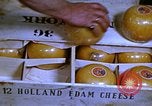Image of cheese and tulip bulbs Netherlands, 1940, second 14 stock footage video 65675029904