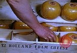 Image of cheese and tulip bulbs Netherlands, 1940, second 15 stock footage video 65675029904