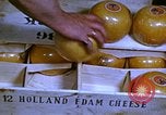 Image of cheese and tulip bulbs Netherlands, 1940, second 16 stock footage video 65675029904