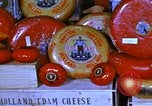 Image of cheese and tulip bulbs Netherlands, 1940, second 28 stock footage video 65675029904