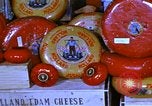 Image of cheese and tulip bulbs Netherlands, 1940, second 29 stock footage video 65675029904