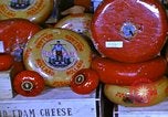 Image of cheese and tulip bulbs Netherlands, 1940, second 31 stock footage video 65675029904