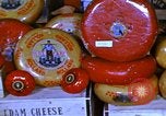 Image of cheese and tulip bulbs Netherlands, 1940, second 32 stock footage video 65675029904