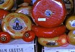 Image of cheese and tulip bulbs Netherlands, 1940, second 33 stock footage video 65675029904
