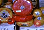 Image of cheese and tulip bulbs Netherlands, 1940, second 35 stock footage video 65675029904