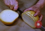 Image of cheese and tulip bulbs Netherlands, 1940, second 41 stock footage video 65675029904
