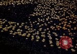 Image of cheese and tulip bulbs Netherlands, 1940, second 46 stock footage video 65675029904