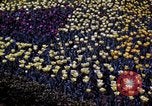 Image of cheese and tulip bulbs Netherlands, 1940, second 47 stock footage video 65675029904