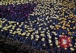 Image of cheese and tulip bulbs Netherlands, 1940, second 49 stock footage video 65675029904
