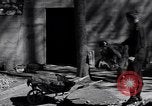 Image of Nazi Hermann Goering stolen art collection Berchtesgaden Germany, 1945, second 20 stock footage video 65675029911