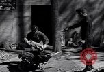 Image of Nazi Hermann Goering stolen art collection Berchtesgaden Germany, 1945, second 22 stock footage video 65675029911