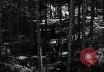 Image of Nazi Hermann Goering stolen art collection Berchtesgaden Germany, 1945, second 31 stock footage video 65675029911