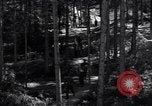 Image of Nazi Hermann Goering stolen art collection Berchtesgaden Germany, 1945, second 32 stock footage video 65675029911