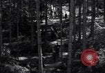 Image of Nazi Hermann Goering stolen art collection Berchtesgaden Germany, 1945, second 33 stock footage video 65675029911